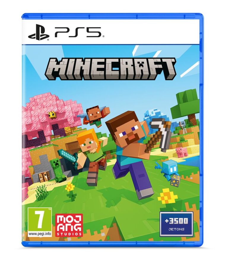 Jeux PlayStation 5 Minecraft
